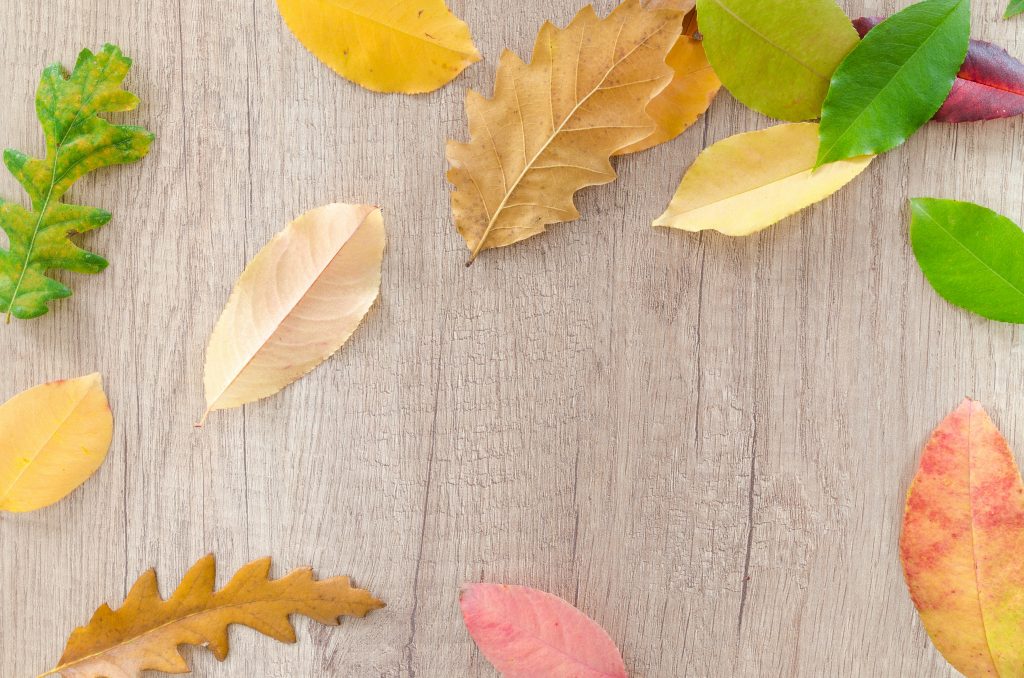 17 Blogger Marketing Ideas For September & October 2022 [+ Traffic Trends]