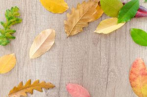 17 Blogger Marketing Ideas For September & October 2022 [+ Traffic Trends]