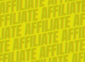 Get Blogged affiliate case study